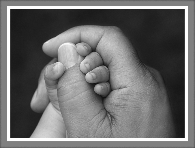 Large centered image of an adult's hand holding a baby's hand and grasping a finger. Picture is in black and white with a thick white border and a shadow to make it look sunk into the page